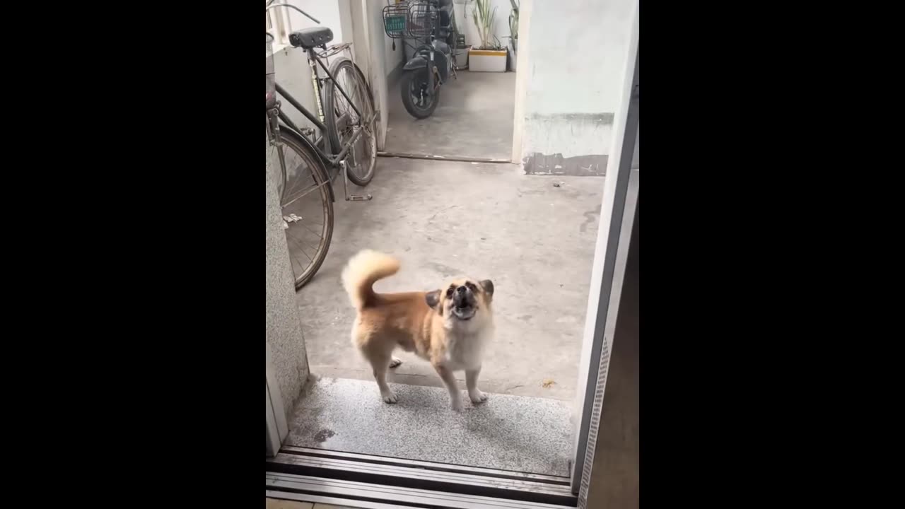 TRY NOT TO LAUGH 😆 Best Funny Videos Compilation 😂😁😆 PART 5