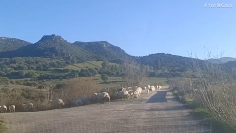 Typical Driving Scenery in Sardinia Italy