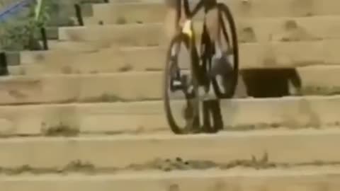 Like A Boss Compilation! Amazing People 2022 Respect✌ #1