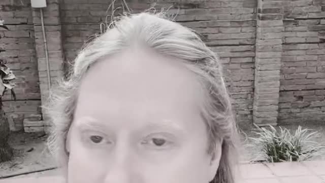 Common Sense, Logic, and Facts