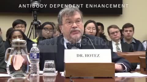 The Warning Signs of Antibody Dependent Enhancement