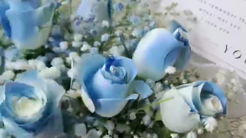 Blue rose