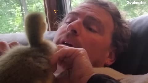 Guy Teaches His Rescued Gosling How To Fly | The Dodo Soulmates