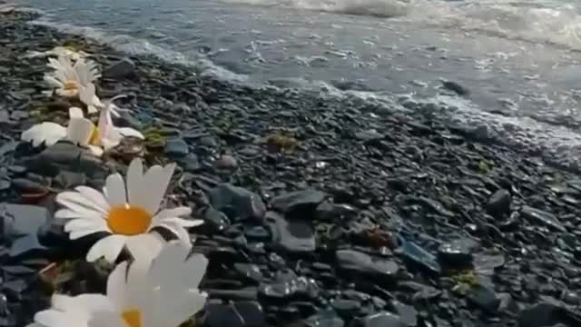 Nature in Alaska