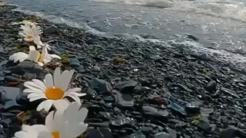 Nature in Alaska