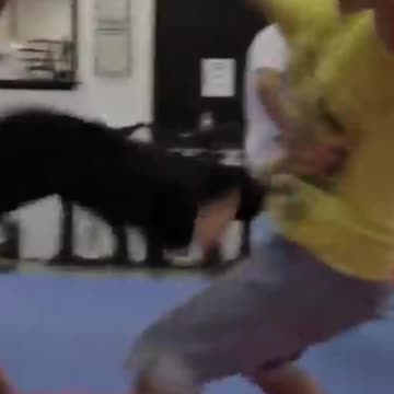 Reel Fighting : Female VS several Male