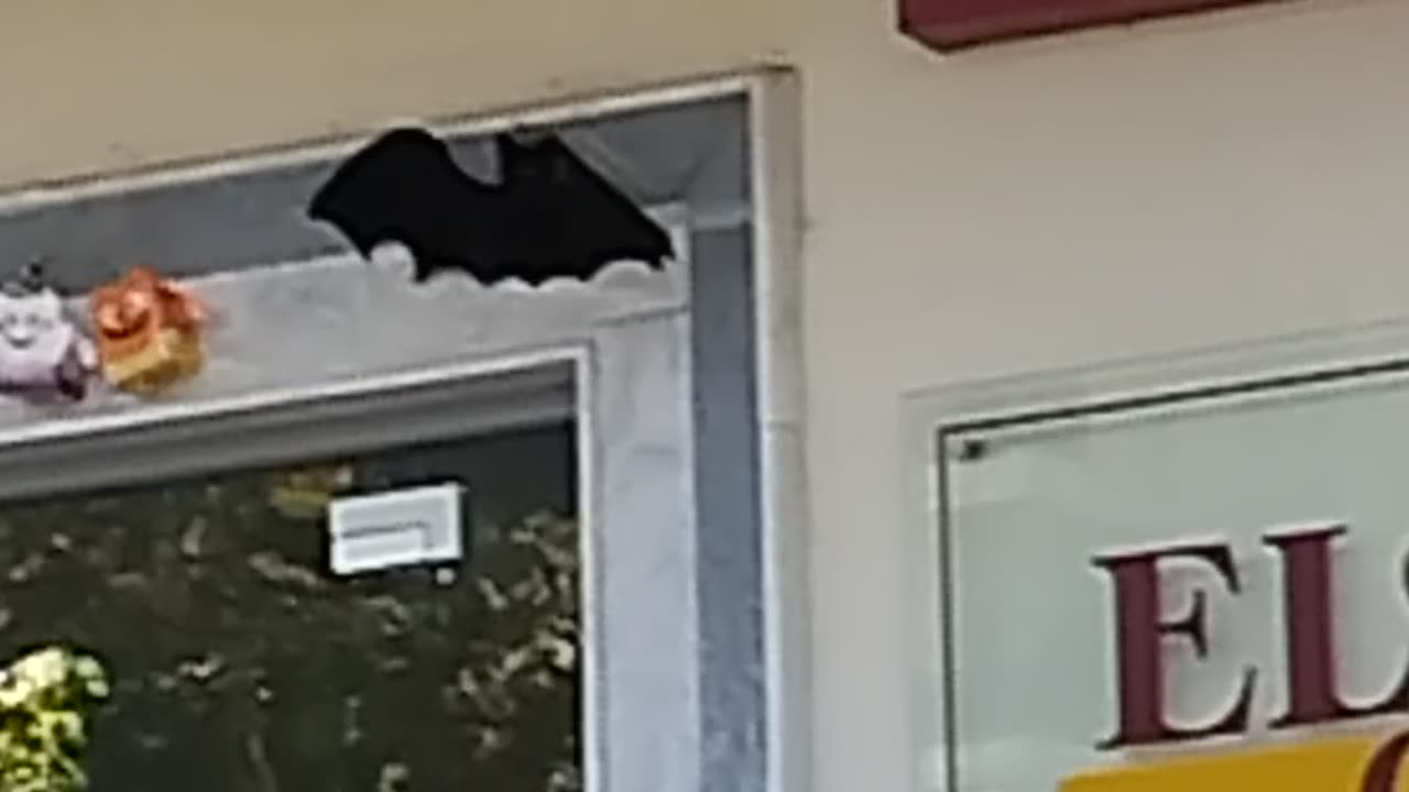 ΧΑΡΟΥΜΕΝΟ ΧΑΛΟΓΟΥΙΝ ΛΕΝΕ ΟΙ ΚΑΤΑΡΑΜΕΝΟΙ ΝΕΟΗΜΕΡΟΛΟΓΙΤΕΣ!!!