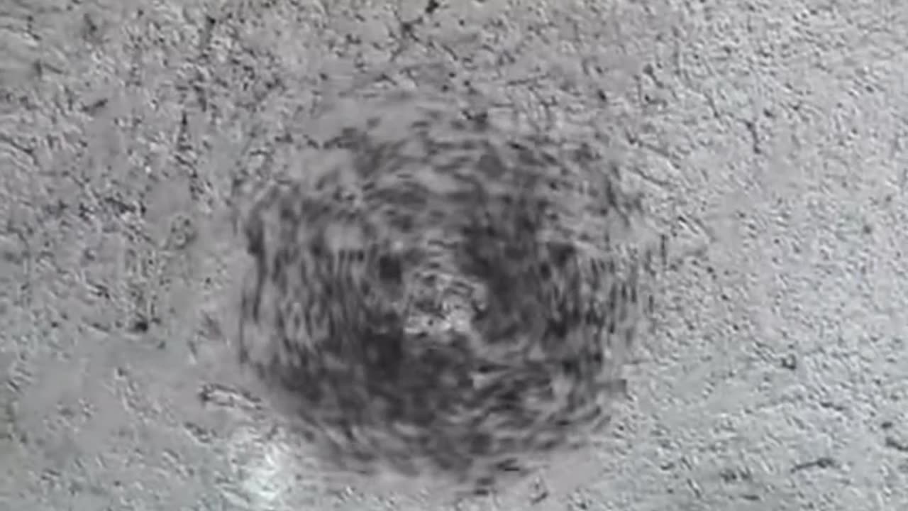 The Ant Death Spiral
