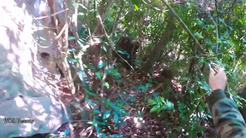 Build a shelter, make a bamboo shack, survive alone in the forest, looking for food