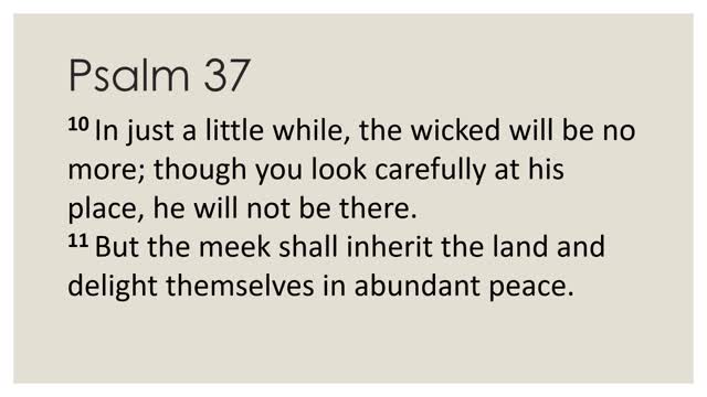 Daily Devotion Psalm 37:1-22