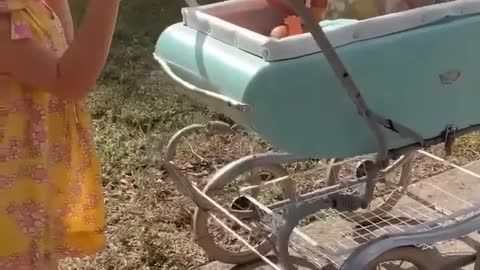 Little Girl Wears Goggles And Push Toddler On a Cart