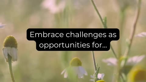 Embrace challenges for..