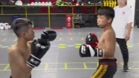 Unbelievable boxing knockout punch