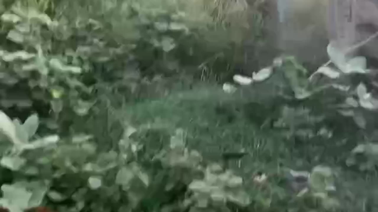 accidentally