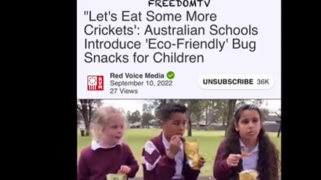 Feeding your kids bugs in school on video