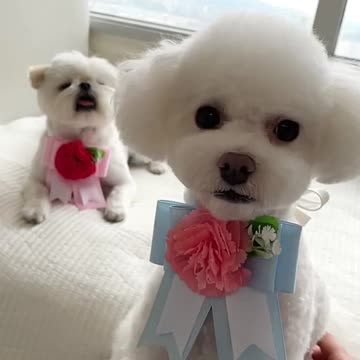 Soothing with our plum 💕 part 2