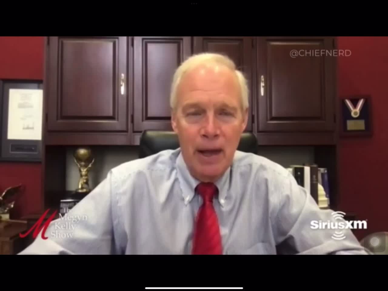 Ron Johnson explains how people like Hunter Biden launder money using diamonds.
