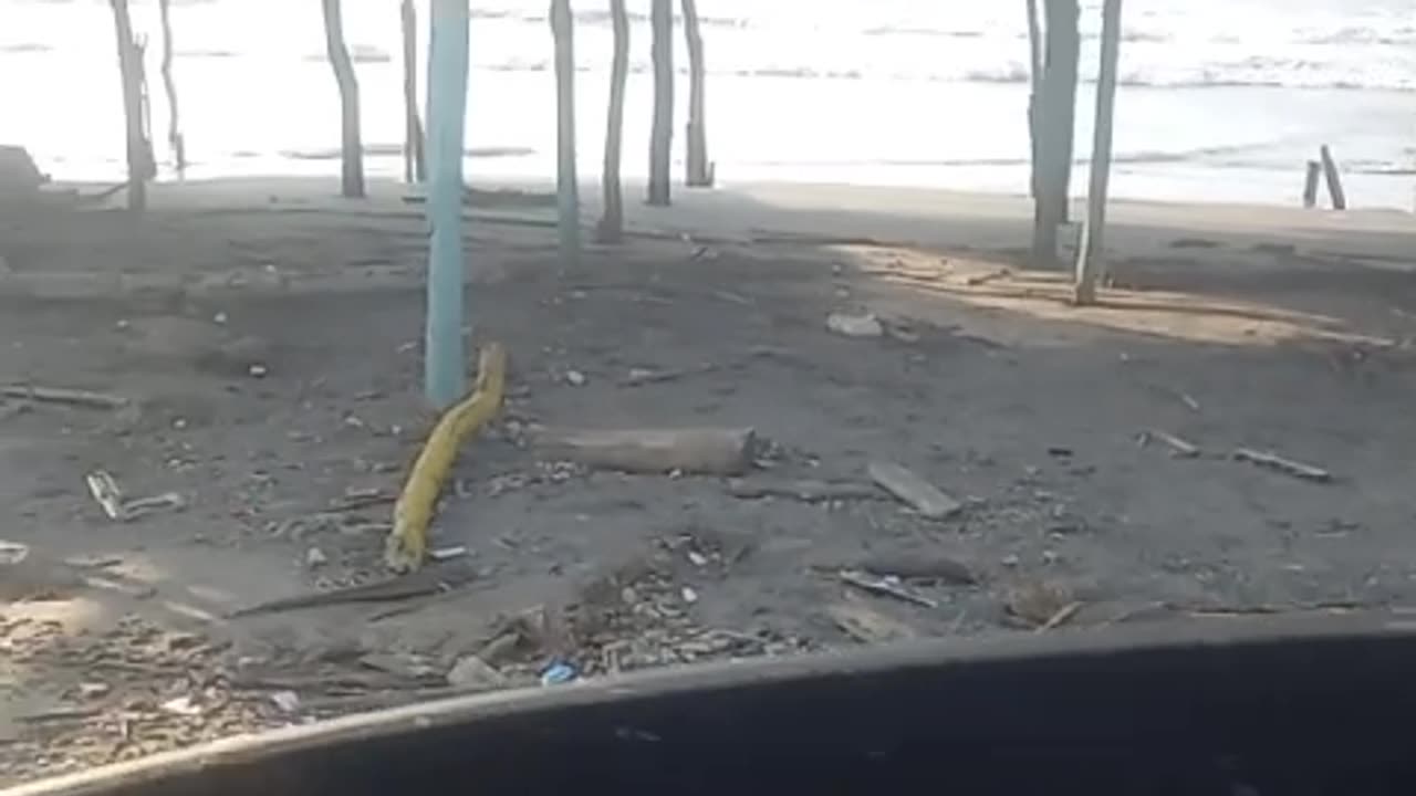 Mar de leva imposibilita actividades turísticas en las playas de Manzanillo