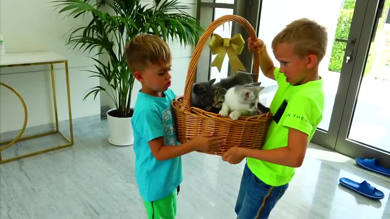 Vlad and Niki play with Kittens