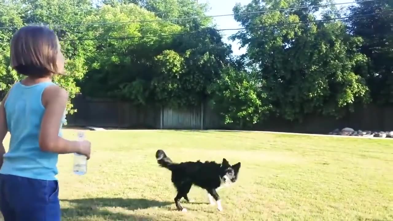 Animals doing crazy tricks in front of children 👦