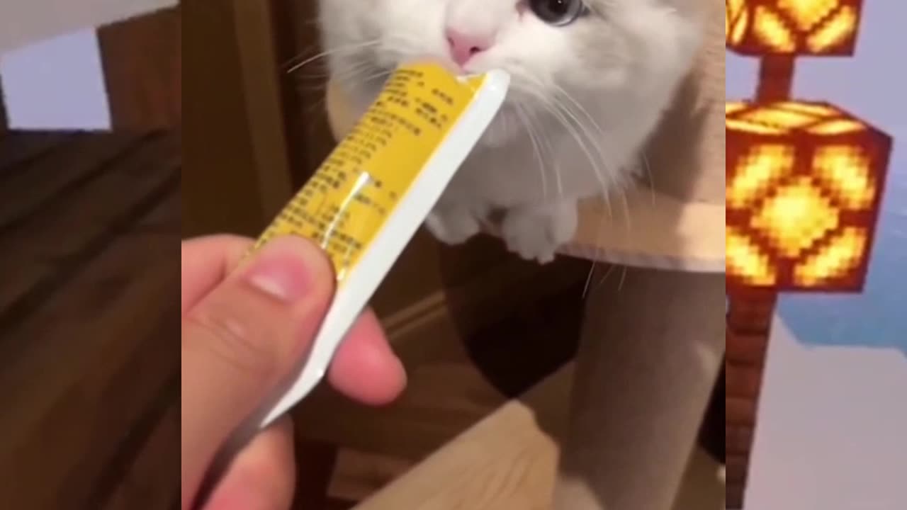 Give It to Me Too😢