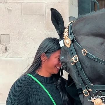 King’s Horse Displays Head to Head Affection