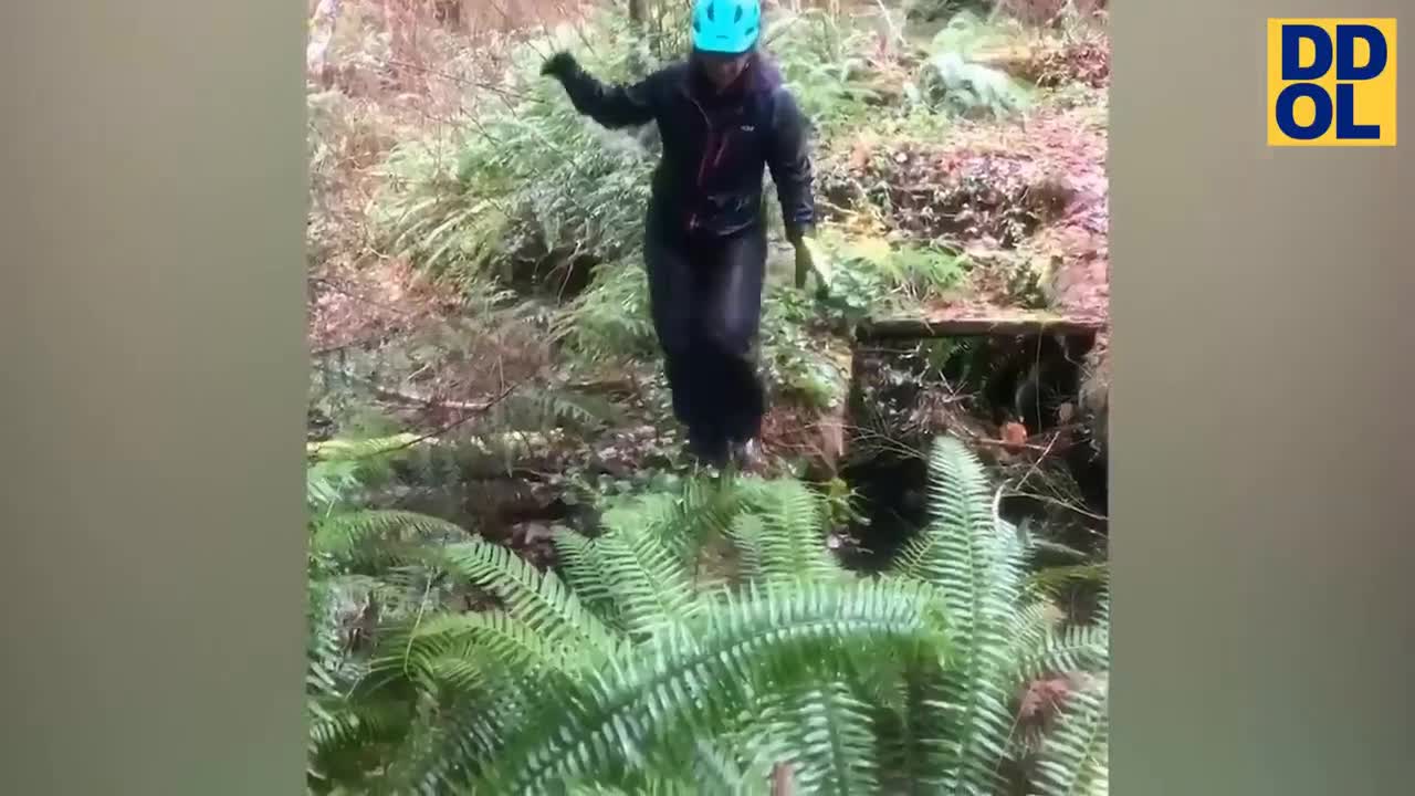 Don't climb if you can't
