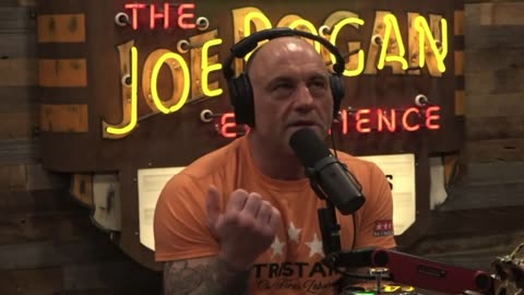 JoeRogan : How Many Lives Could Have Been Saved if the Authorities Told the Truth About Vitamin D?