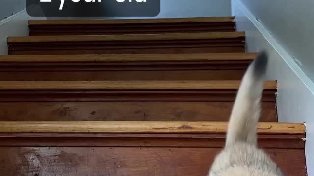 Growth 💪🏽 😻😻😻 Love cats? Like & Share