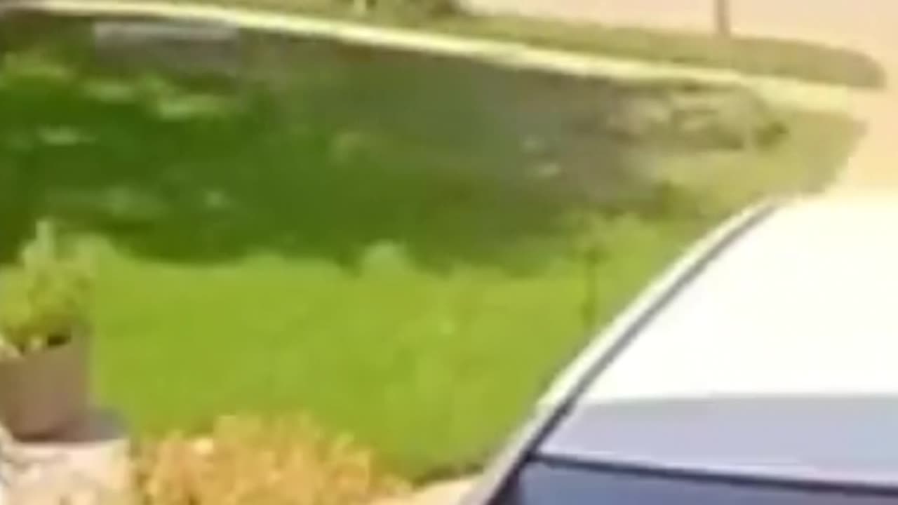 They Can't Believe What They Caught On Their Ring Camera