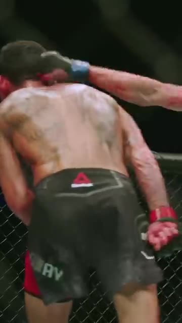 "Max Holloway: The Ultimate Warrior in the Octagon!"