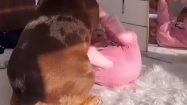 baby playing with pet