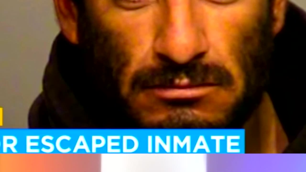 The Easiest Prison Escape Ever