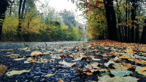 Relaxing Nature Video Rain sound, Seawater sound