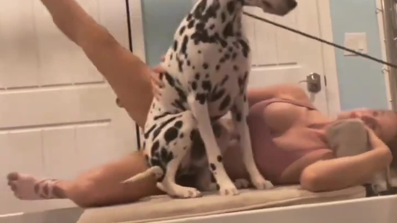 The moment when your dog hear thunder | #hot #sexy #girl