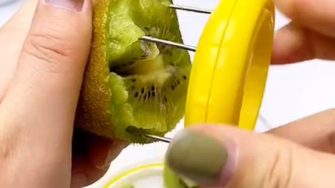Fruit Cutter