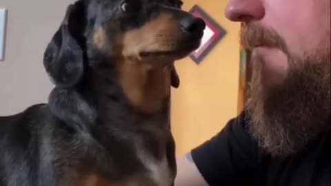 Don't be afraid, this video is safe 😂🤣