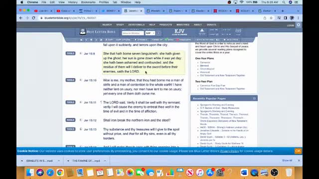 THE PREY DEPARTETH NOT