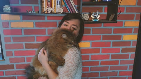 My cute kitties
