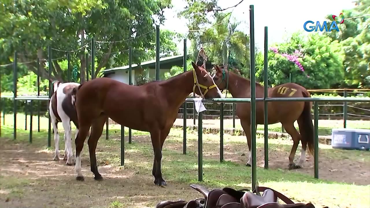 makapatay ng isang lalaki?! | Kapuso Mo, Jessica Soho