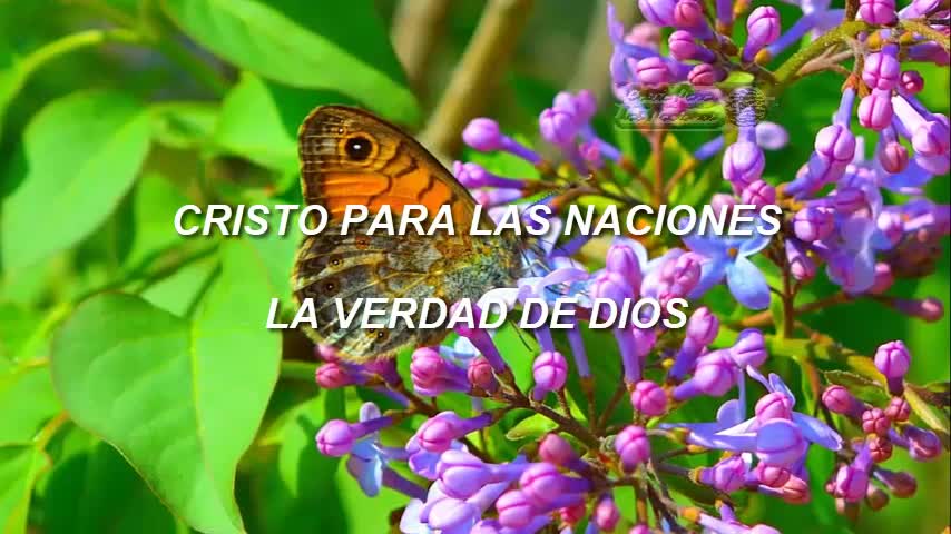 LA VERDAD DE DIOS