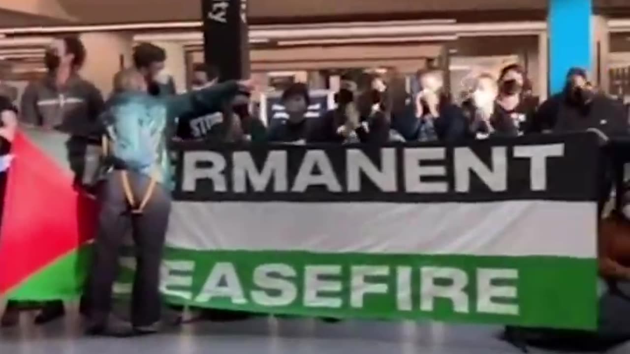 Hundreds of pro-Palestine protesters at San Francisco International Airport.