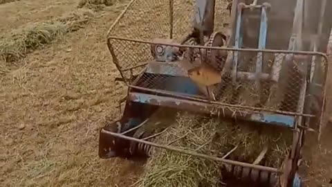 CRC vídeos curiosos