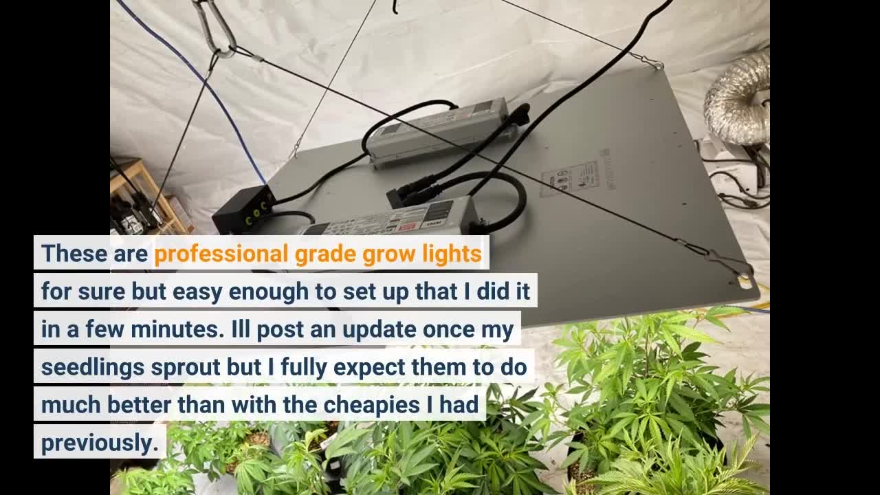 FinaBaolu Ar1000 LED #GrowLight with 100W Samsung LM301B-Overview