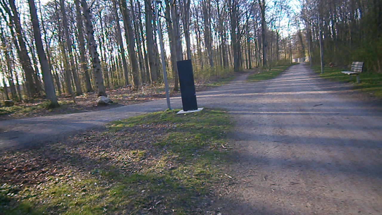 Promenad i Fredriksdalsskogen, Helsingborg 16 April 2014