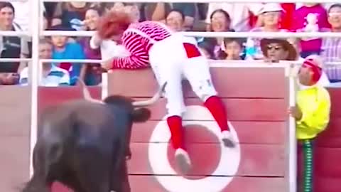 Bullfighting is also very exciting.🐴🐮#horse#fyp#foryou#tiktok