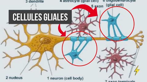 LA MÉTHODE LA PLUS PUISSANTE POUR RE-PROGRAMMER TON CERVEAU (UTILISE 100% DE TON CERVEAU)