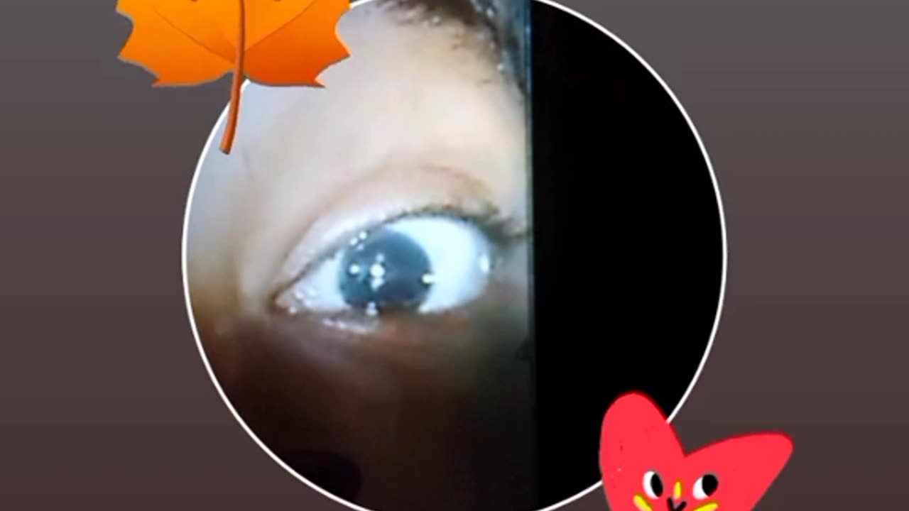 JOIN MEMBERSHIP FOR EXCLUSIVE DOWNLOADS