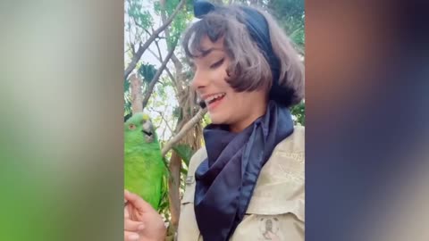 Parrot Talking - Smart And Funny Parrots Video