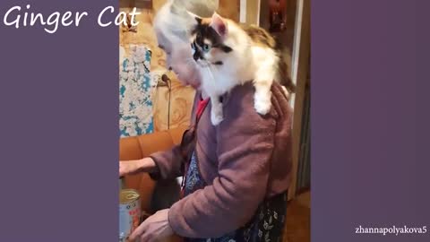 Sweetest Cats And Owner Moments Will Melted Everyone's Hearts - Cutest Cat Ever!!